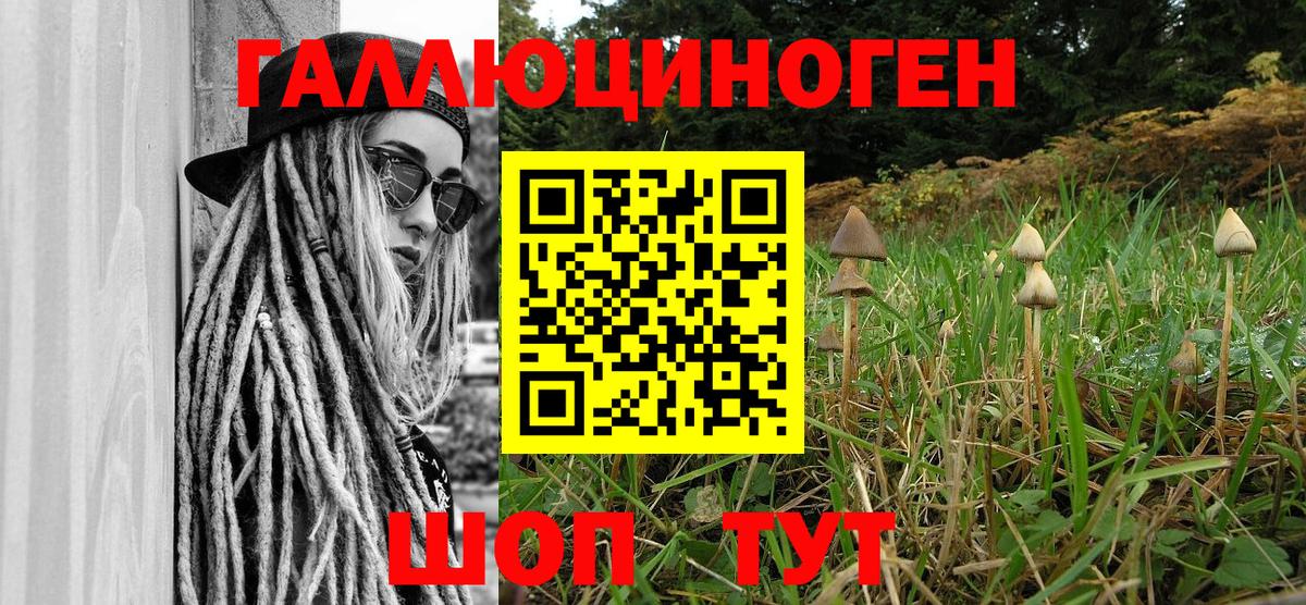 Галлюциногенные грибы GOLDEN TEACHER Калуга